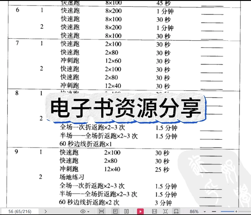 绳梯训练篮球_2